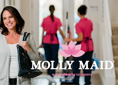 Molly Maid of Fayetteville photo