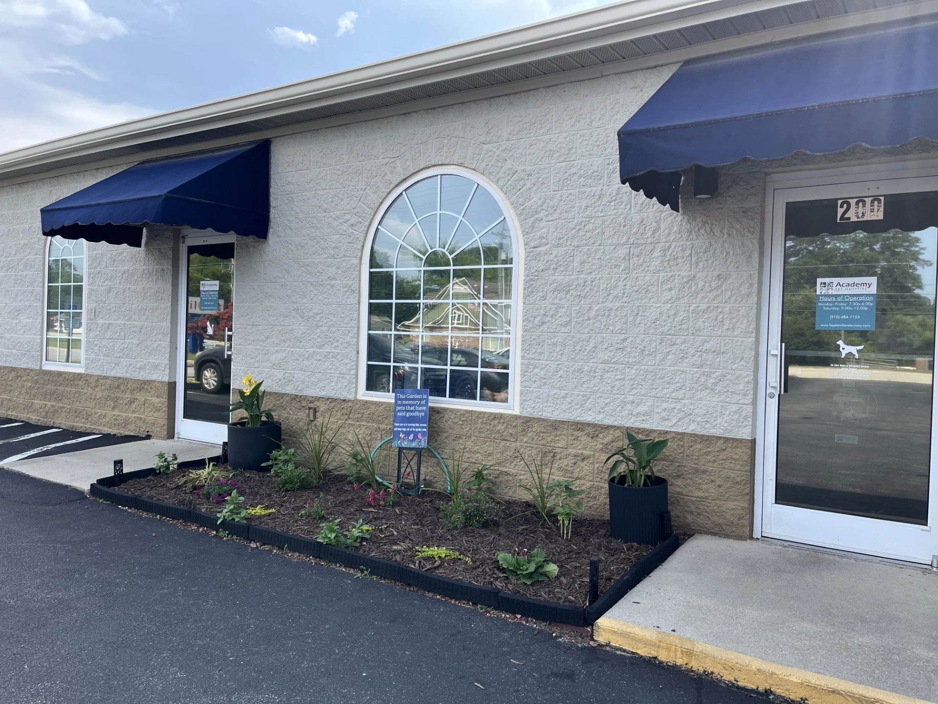 Academy Pet Hospital